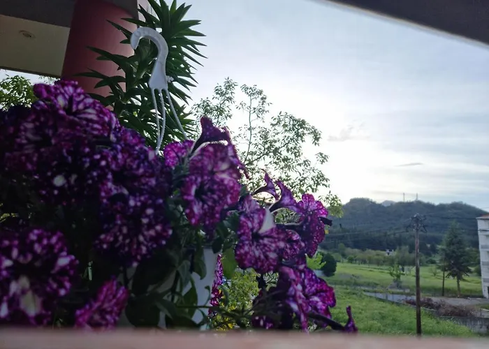 Nice Stay